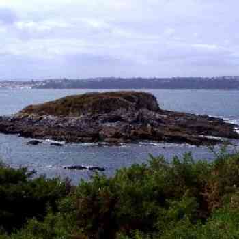 Click para ampliar. Pulsa en el nombre para ver la ficha. Isla Carboeira